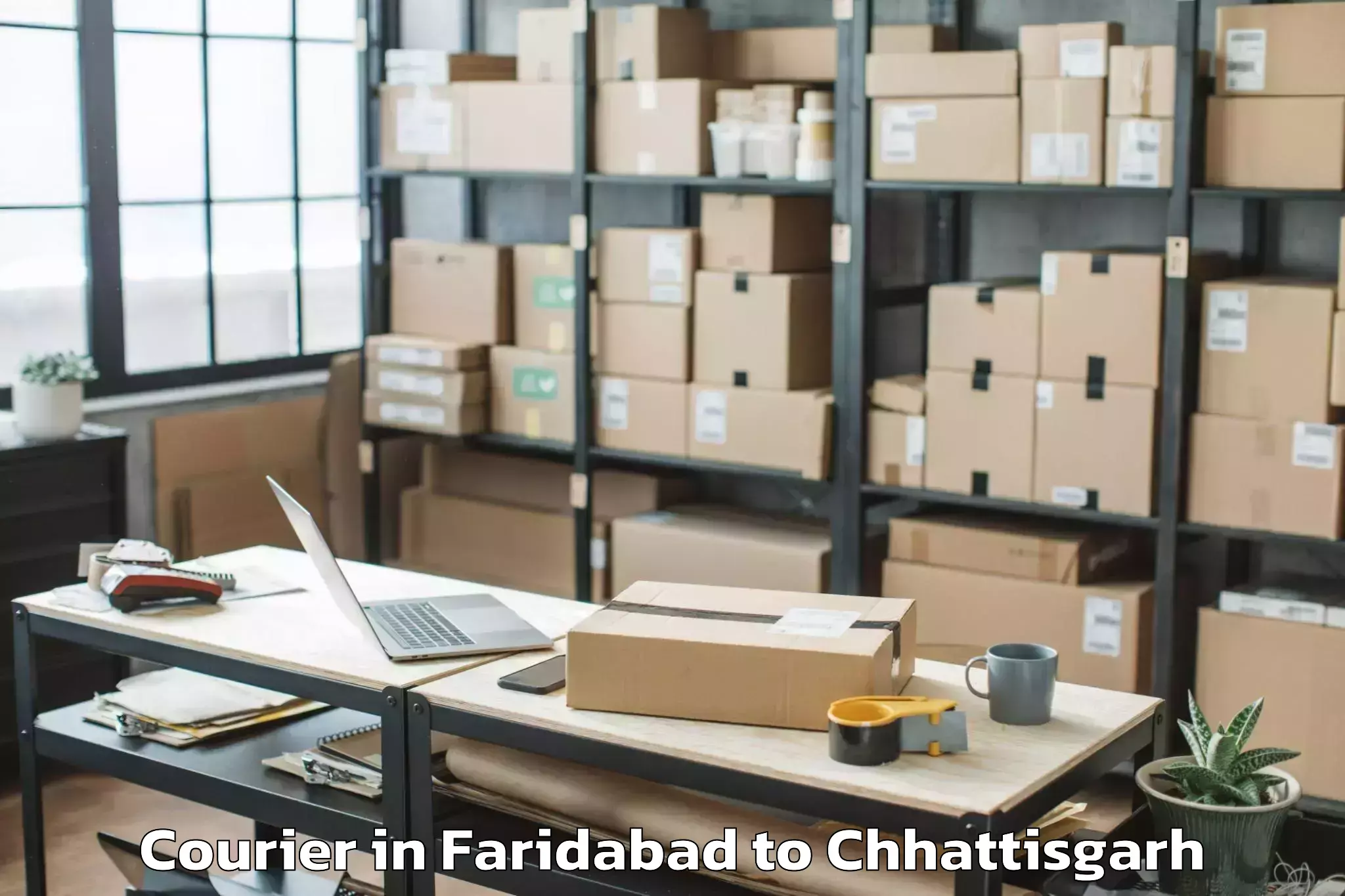 Professional Faridabad to Op Jindal University Raigarh Courier